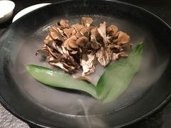 有机舞菇-煲宫(华润万象城店)