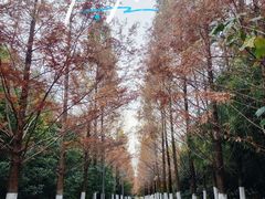 -武汉园博园(武汉自然博物馆)