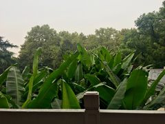 园景-杭州香格里拉饭店