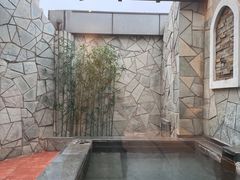 -仁爱团泊湖温泉中心
