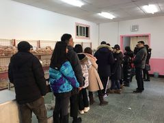 -中关村茶点