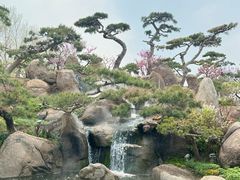 -罗红摄影艺术馆