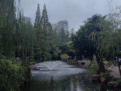 -水绘园