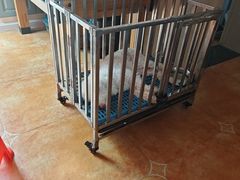-津沽小院(天津之眼店)