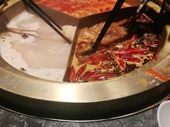 -麻路成都火锅(柏威年店)