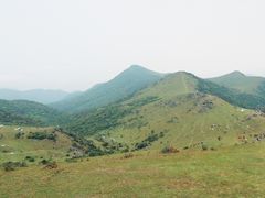 -大姆山草场