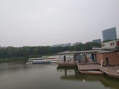 -大兴滨河森林公园