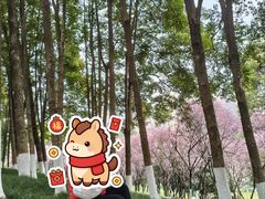 -龙头寺公园
