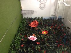 iphone_upload_pic-THE QUEEN(北京店)