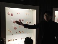 -青岛贝壳博物馆