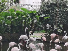 -九龙公园