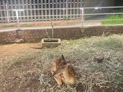 -丽泽山庄·生态怀柔菜·虹鳟鱼(红螺寺店)