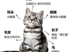 -申普宠物医院(总院)