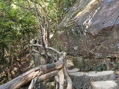 -梧桐山风景名胜区