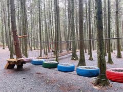 -重庆睡佛山森林公园