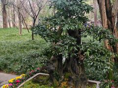 -成都杜甫草堂博物馆