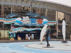-海合安成都极地海洋公园