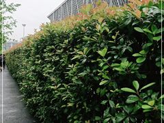 -东浩兰生上海世博展览馆