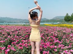 -君乐宝优致牧场