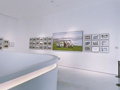 -罗红摄影艺术馆