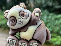 -都江堰中华大熊猫苑