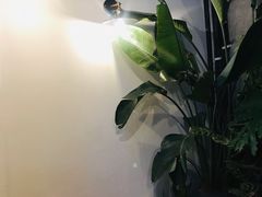-不正咖啡(万达尊店)