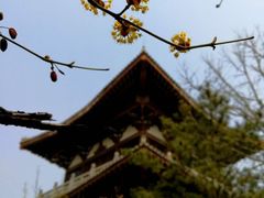 -隆福寺