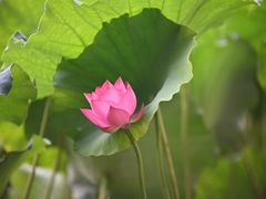 -北山街历史文化街区