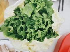 -墨脱石锅椰子鸡•香草鸭•东山羊(大东海店)