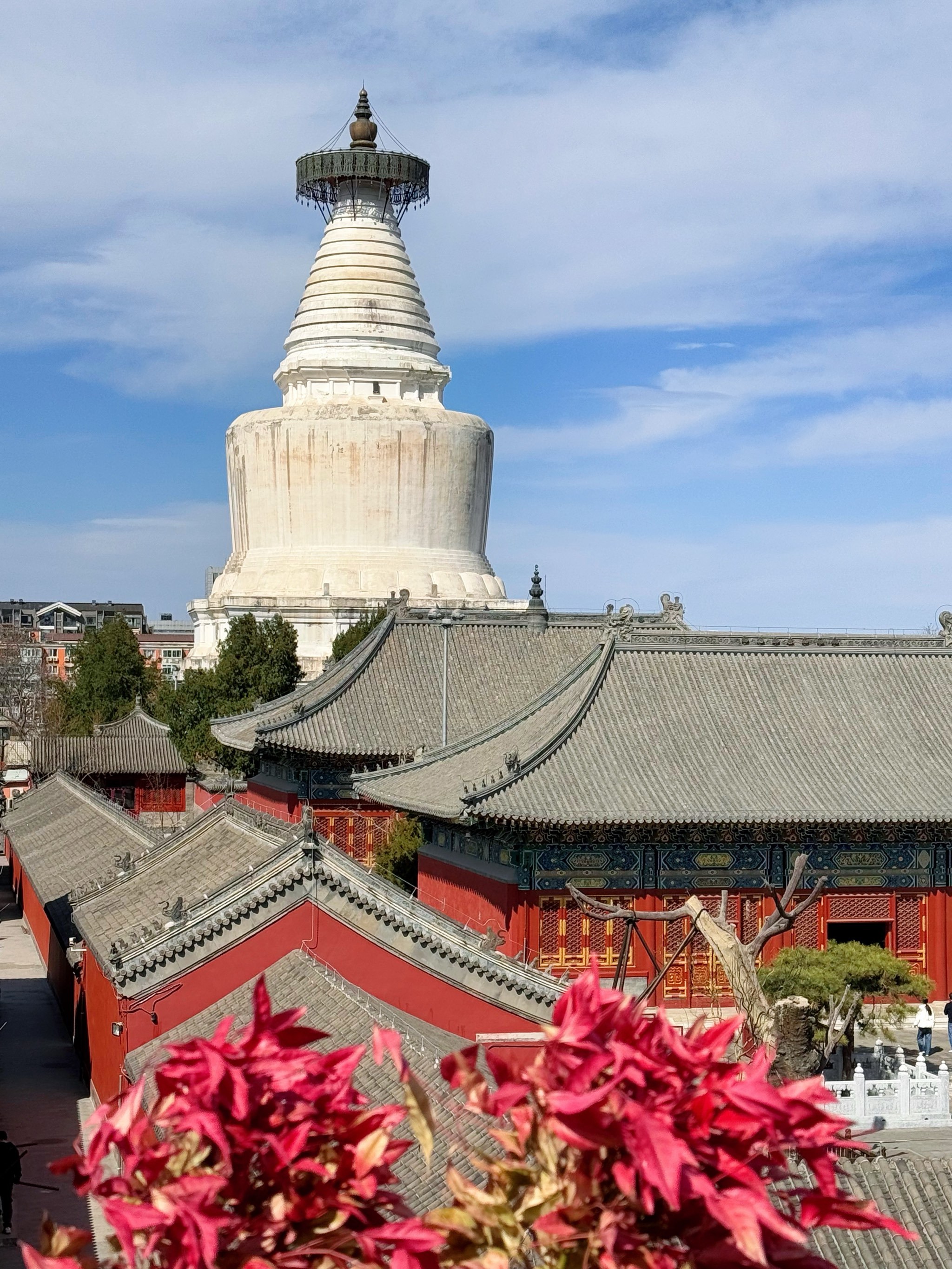 春天下的白塔寺☁️citywalk