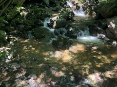 -青峰峡国家森林公园