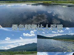 -腾冲北海湿地