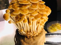 -麻路成都火锅(柏威年店)