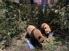 -武汉园博园(武汉自然博物馆)