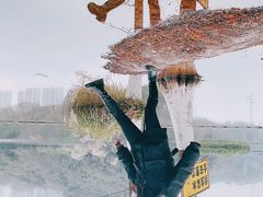 -重庆彩云湖湿地公园