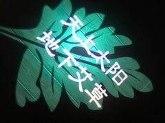 -端艾堂·SPA·艾灸(棕榈泉013店)