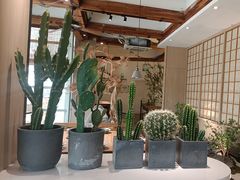 -蜜桃餐厅·伴山(湖滨商业街店)