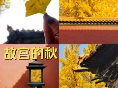-故宫博物院(故宫)