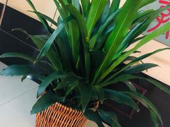 -成都市第一人民医院(南区)