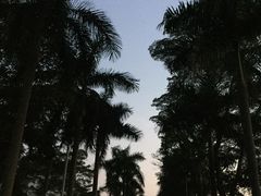 -广州神农草堂中医药博物馆