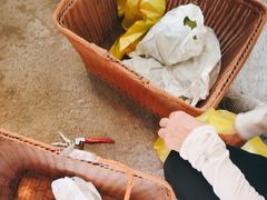 -马陆小张葡萄园农家乐