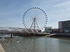 -琴岛之星摩天轮