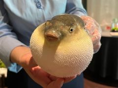 -肆月河豚·淮扬菜·湘菜(华天店)