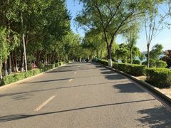 -丁香湖公园