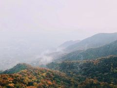 -阳台山自然风景区