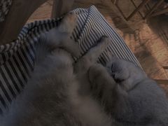 -不舍昼夜咖啡馆