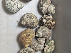 -华声天桥民俗文化园