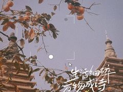 -北京石刻艺术博物馆