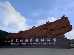 -茅兰沟国家森林公园