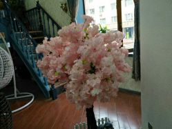 -Hair Glam 格拉姆造型旗舰店